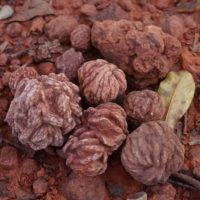 Where to Rockhound in Oklahoma