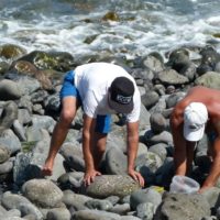 Where to rockhound in Louisiana and what to find