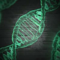 do rocks have DNA?