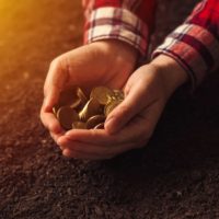 Can you make money selling rocks or by Gem Hunting?