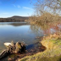 Where to Rockhound in Massachusetts and What Can You Find