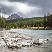 Most Common Rocks You Can Find in Rivers