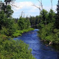 Best Rockhounding in Minnesota: What & Where to Find