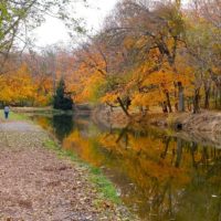 Rockhounding in Pennsylvania: Where to Go & What to Find