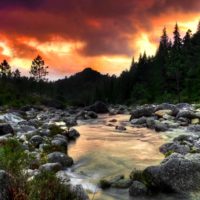 Rockhounding in Montana: Where to Go and What Rocks and Minerals To Find?