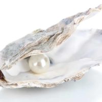 What Are Organic Gemstones? List of Organic Gemstones