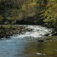 Best Rockhounding Sites in Tennessee & What Rocks and Minerals You Can Find