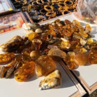 Real vs. Fake Amber: How to Identify Them & What Are Differences?