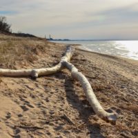 Best Rock Hunting Sites & Beaches in Indiana