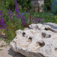What Causes Holes in Rocks and Why Do Rocks Have Holes in Them?
