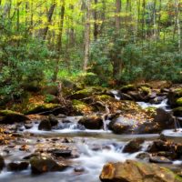 Best Rockhounding in North Carolina