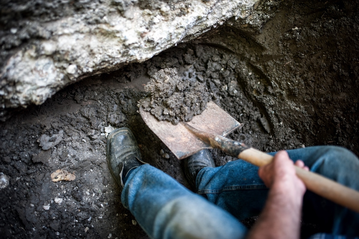 Can You Find Gold In Your Backyard?