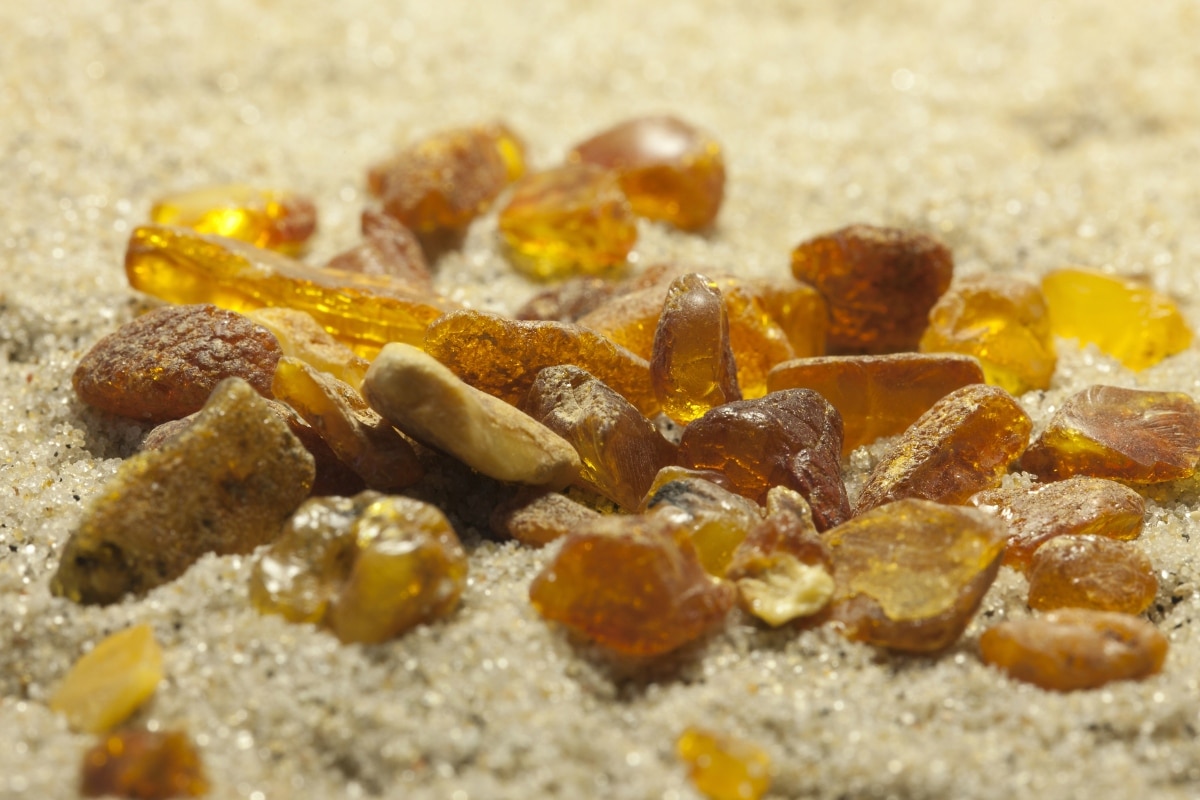 Where to Find Amber Near Me