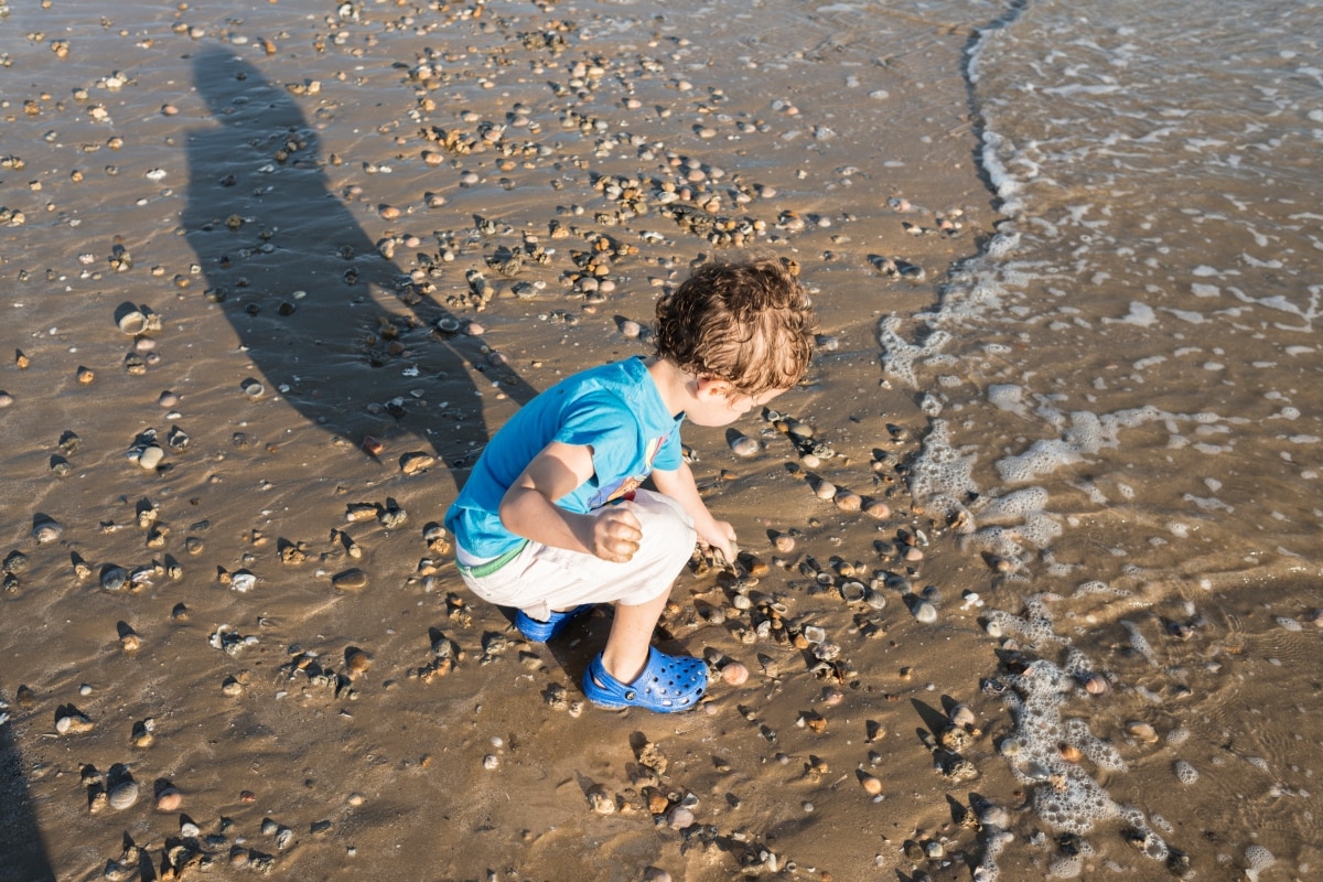 The Best Fossil Hunting in the USA