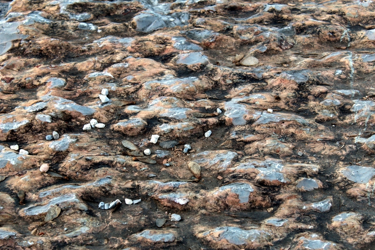 Where to Find Chert Rocks Near Me
