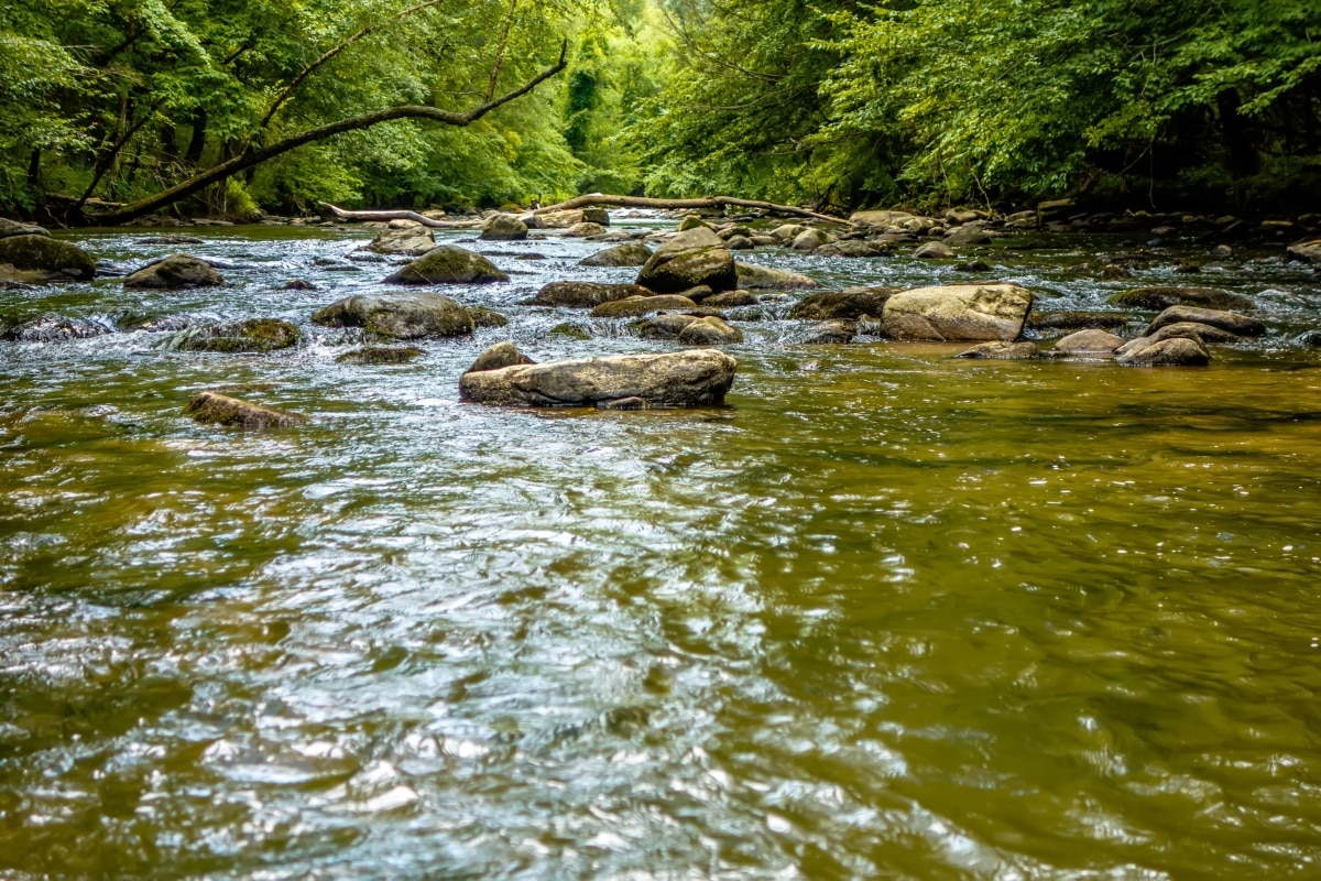 Gold Prospecting in South Carolina