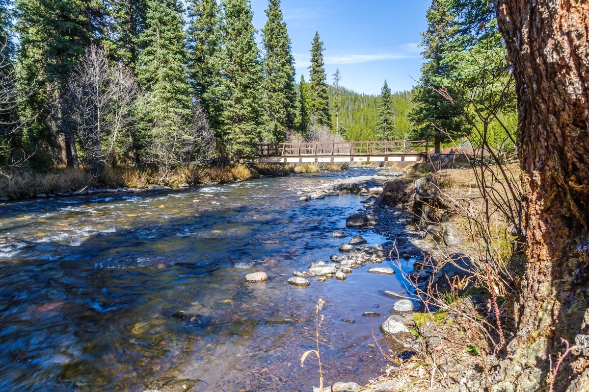 Gold Prospecting in Montana