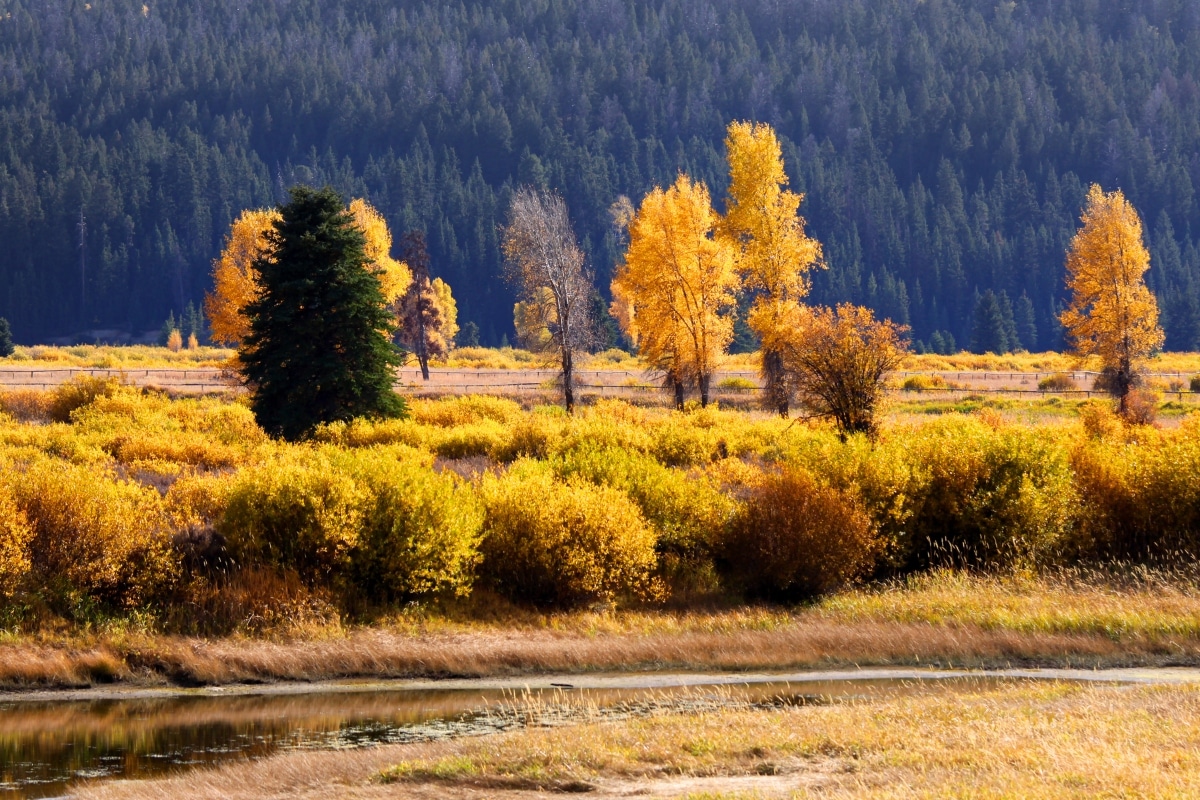 Gold Prospecting in Wyoming