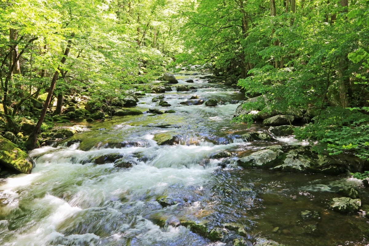 Gold Prospecting in Tennessee