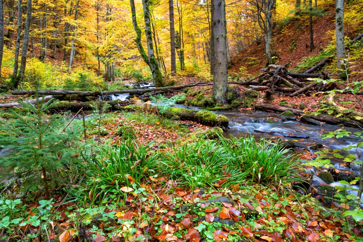 Gold Prospecting in Minnesota