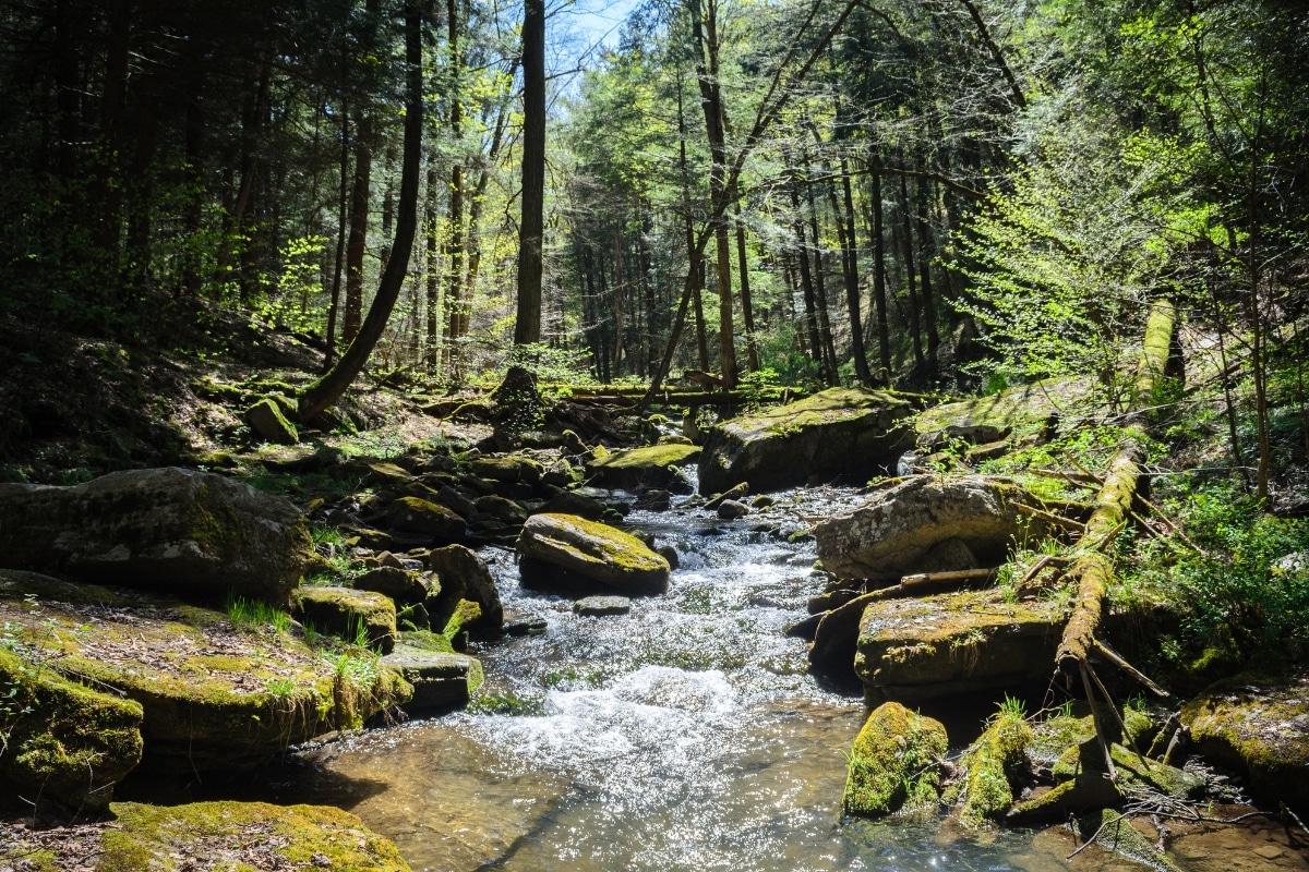 Gold Prospecting in Pennsylvania