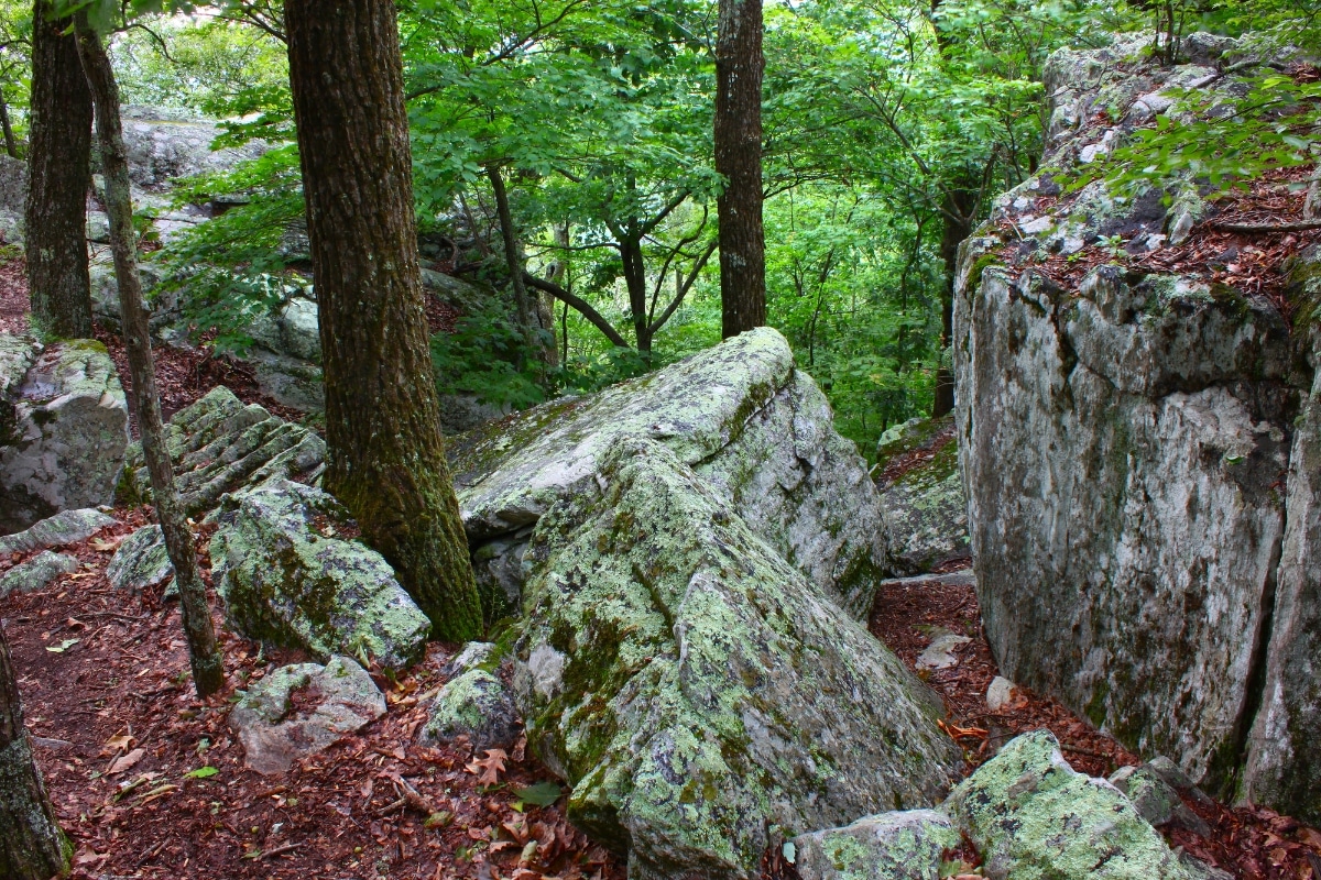 Common Rocks and Minerals You Can Find in Alabama