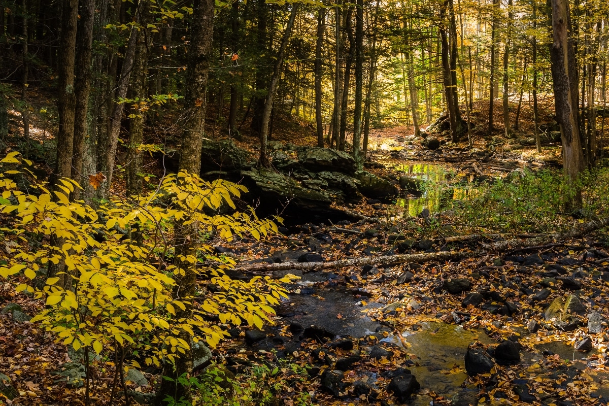 Common Rocks and Minerals in Connecticut