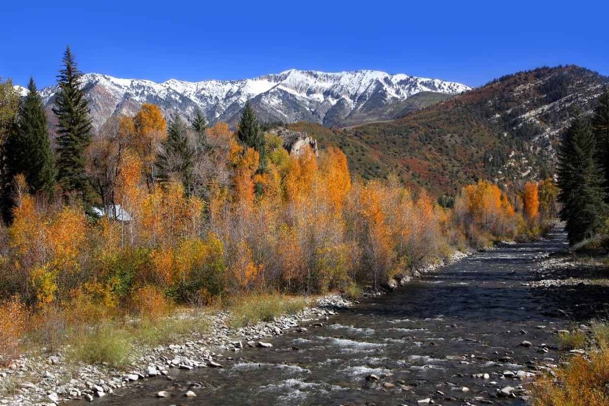 Common Rocks and Minerals in Colorado