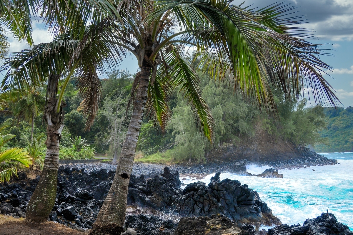 Common Rocks and Minerals in Hawaii