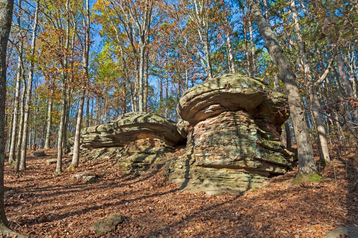 Common Rocks and Minerals in Illinois