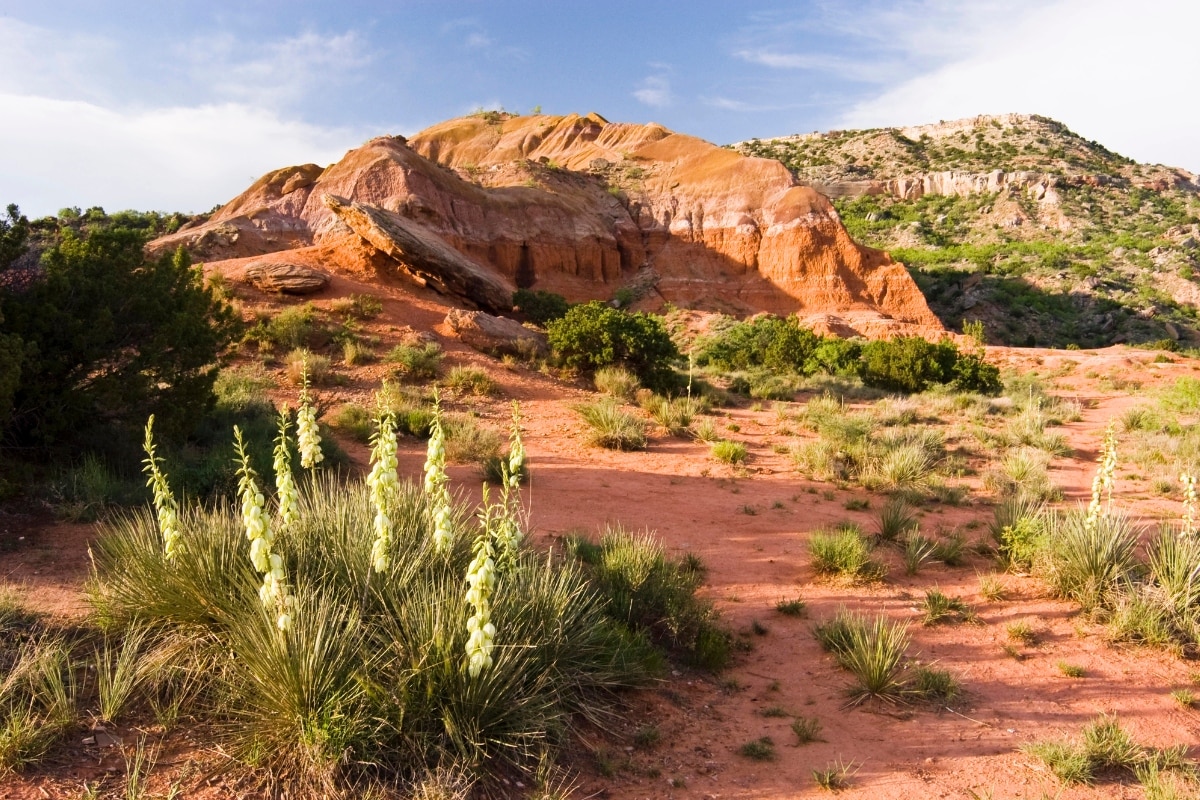Gold Prospecting in Texas